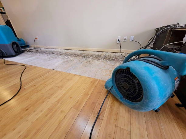 Professional Burst Pipe Water Damage technician working in Warren, IN